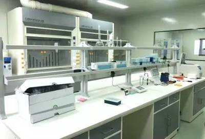 傳化集團綠色工廠 探尋碳達峰的創新奧秘